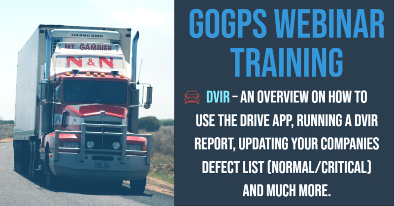dvir_training